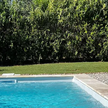 Jungle House Villa
